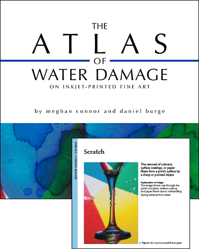 The Atlas of Water Damage on Inkjet-printed Fine Art
